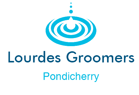 Laundry & Dry Cleaning